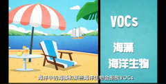 VOCs真的离您很远吗？您真的不需要了解VOC